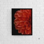 Red Rose – FIND YOUR BLOSSOM Poster