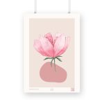 Cream And Soft Pink Watercolour Flower Print