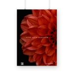 Red Rose – FIND YOUR BLOSSOM Poster